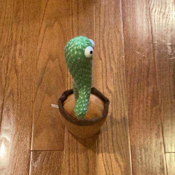 Cactus for kids. - Picture 8 of 14